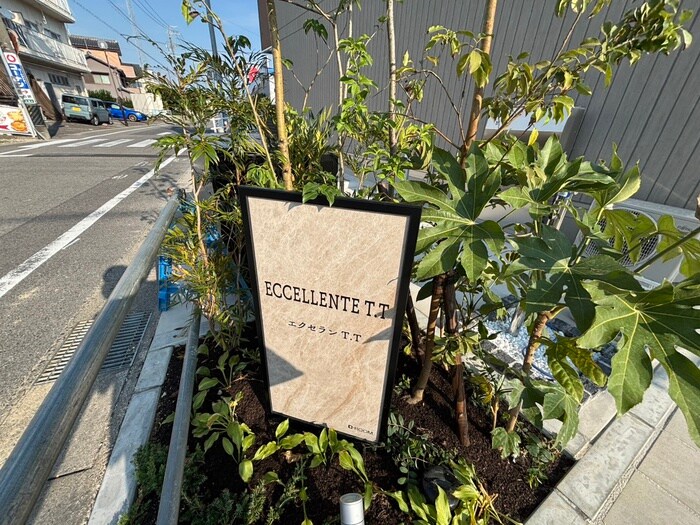 その他 エクセランT.T