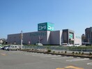 ニトリ(電気量販店/ホームセンター)まで982m GRAND CHARIOT桂