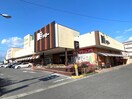 ドミー 大樹寺店(スーパー)まで790m Westヴィラ