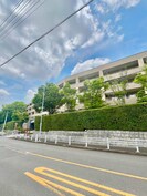 ﾗｲｵﾝｽﾞｾﾚﾌﾞ富士見台壱番館(515)の外観