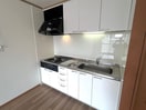 キッチン 植田ダイヤハイツ（808）