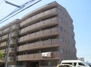 primiyell JYOJYOの外観