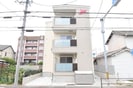F asecia Sparteの外観