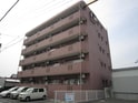 完成写真