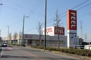 フィール岡崎柱町店(スーパー)まで598m Casa Avenue Okazaki