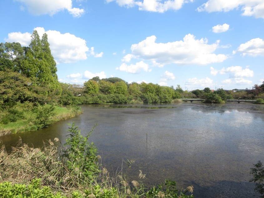 杁ケ池公園(公園)まで340m クロッシュメゾン