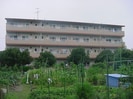 エクセルみどりの外観