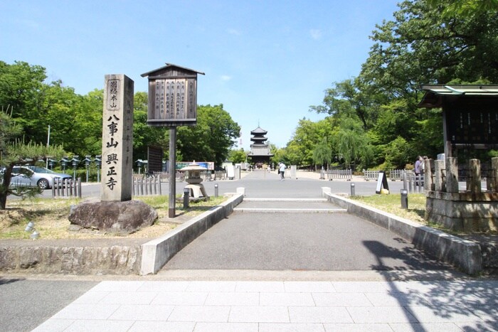 興正寺(公園)まで1100m 荘苑八事ビラージュ弐番館(106)