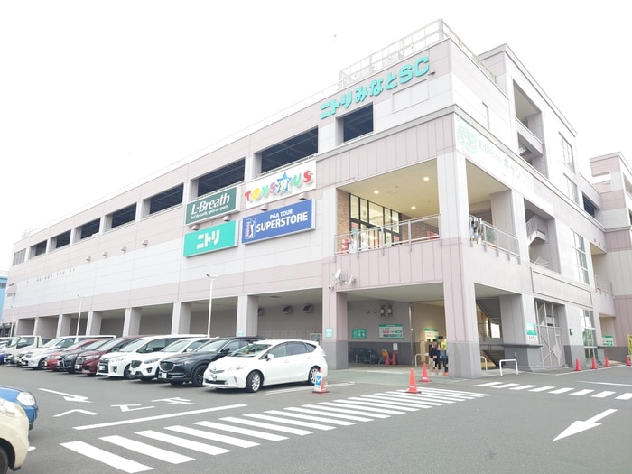 ニトリみなとショッピングセンター(電気量販店/ホームセンター)まで728m ポートタウンドルフィン