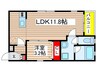 ＭＩＡ　ＣＡＳＡ　大須 1LDKの間取り
