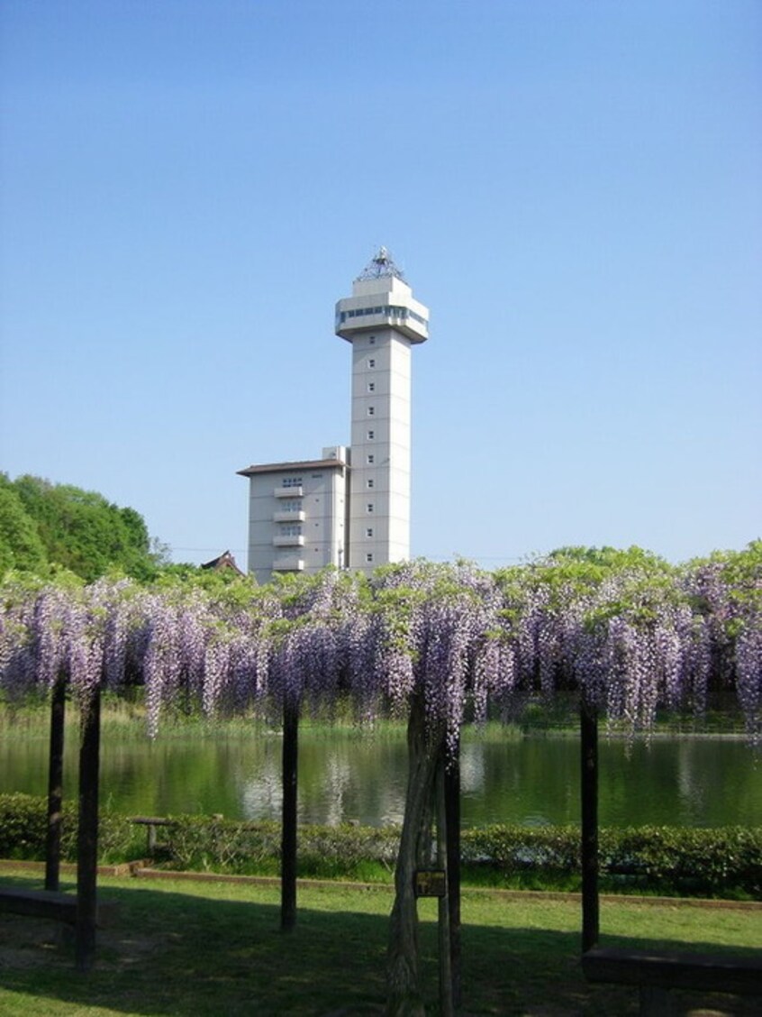 スカイワードあさひ(公園)まで530m グレース城山