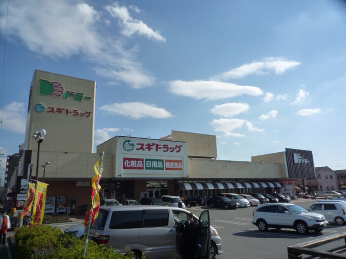 ドミー大樹寺店(スーパー)まで1200m シャルル大宗