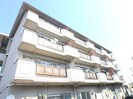コーポニュー中川の外観