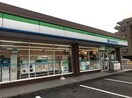 ファミリーマート(コンビニ)まで208m パレス三宝