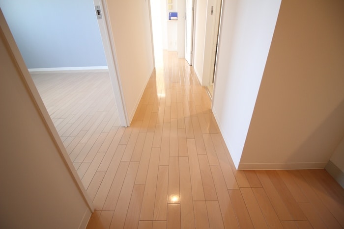 廊下 プロシード新瑞橋