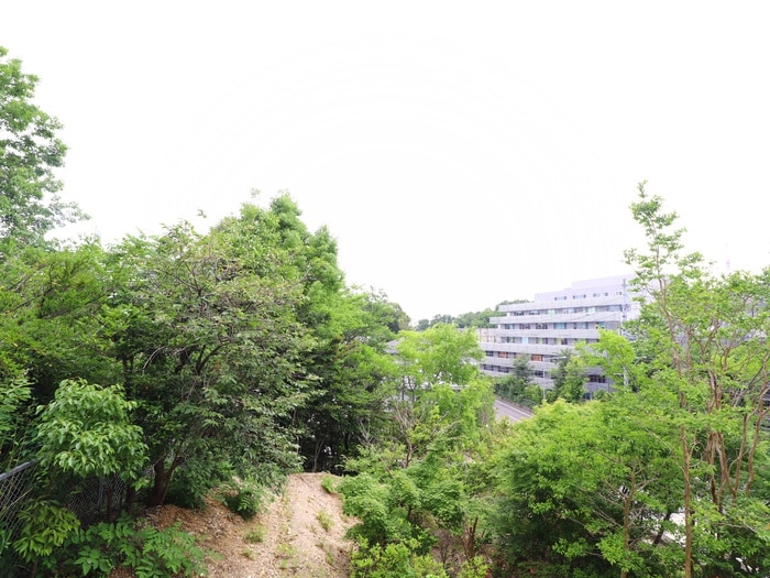 室内からの展望 グリ－ンライフ東山