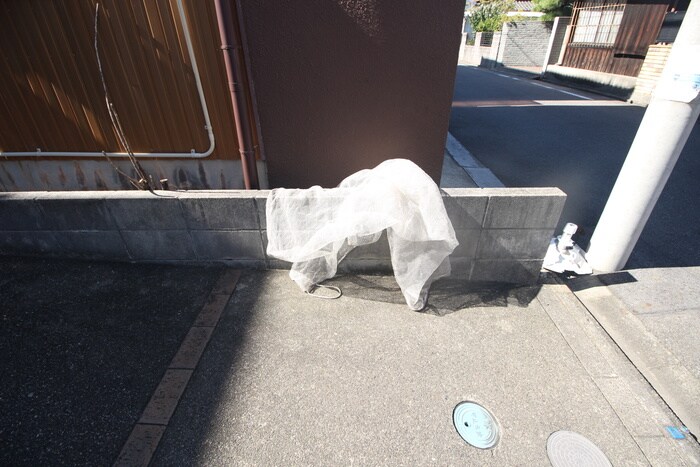 その他 モア・グレース