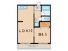 シーズンコート歌里 1LDKの間取り