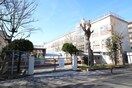 名古屋市立若水中学校(中学校/中等教育学校)まで800m シティライフ今池北