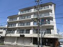 完成写真