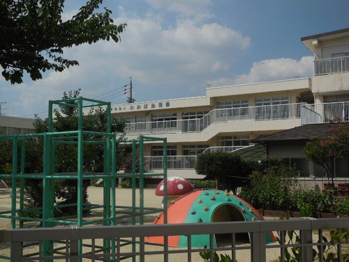 わかば幼稚園(幼稚園/保育園)まで260m ルートヒル8北棟