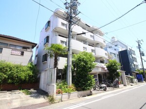 ﾒｿﾞﾝ･ﾄﾞ･ｶﾝﾊﾟｰﾆｭ（411）