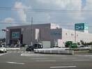 ニトリ一宮店(電気量販店/ホームセンター)まで660m クリーン・カーサ東島