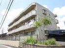 Ｅｌｌｅ Ｂｏｎｈｅｕｒの外観