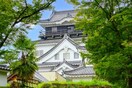 岡崎公園(公園)まで660m ノステルコ－ト岡崎