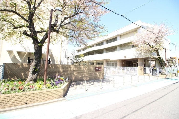 杉村小学校(高等学校/高等専門学校)まで400m Ｍａｉｓｏｎ　Ｄｏｌｃｅ