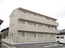 アム－ル中手の外観