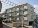 シャトルオオギの外観