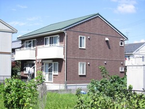 ﾍﾞﾘﾙﾏｰﾁ