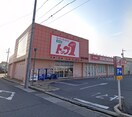 トップワン　松葉公園店(スーパー)まで600m Ｅｓｔｕｄｉｏ　南脇