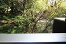 室内からの展望 隠れ家