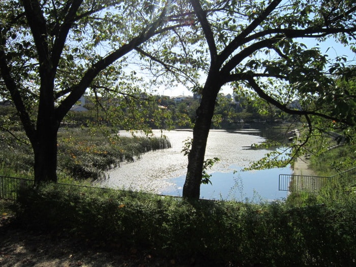 螺貝公園(公園)まで1080m 隠れ家
