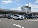 ロイヤルホームセンター(電気量販店/ホームセンター)まで550m サンパティ－ク