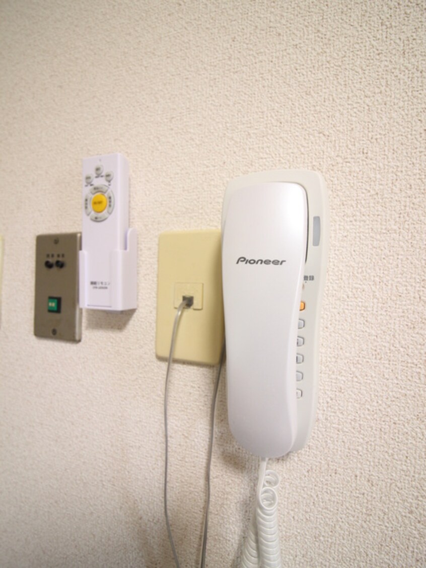 内観写真 サン・アリ－ナ