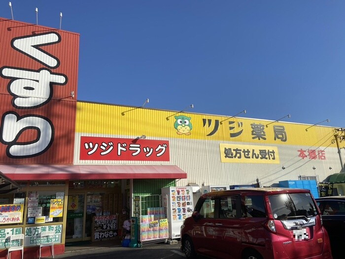 ツジ薬局甚目寺本郷店(ドラッグストア)まで457m サンリット