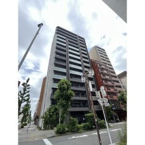 ｵｰﾌﾟﾝﾚｼﾞﾃﾞﾝｼｱTHE MID MARK(803)