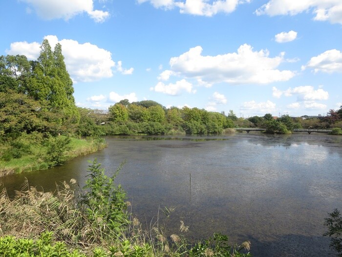 杁ケ池公園(公園)まで130m ヴィラ・グリ－ン