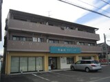 パレス　タドリ