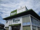 セリア　西春店(100均)まで500m カサベルデ師勝