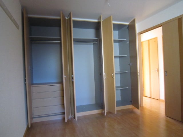 収納 アイリス大鐘