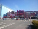 ドン・キホーテ楽市街道(スーパー)まで1700m ハイツブロ－ド