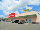 クスリのアオキ春日店(ドラッグストア)まで1800m ハイツブロ－ド