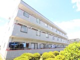 レナ三宅