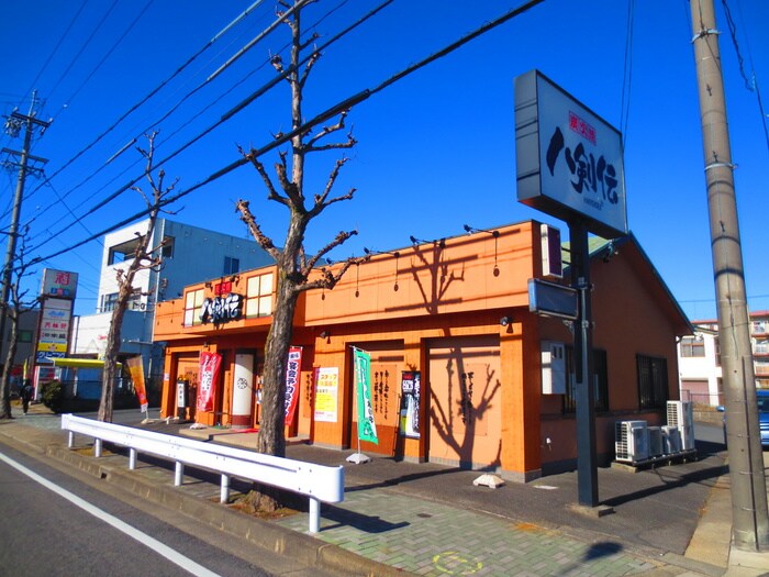 八剣伝 喜惣治店(その他飲食（ファミレスなど）)まで294m セリア１４１