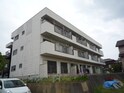 完成写真