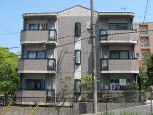 グレイセスヒカリ